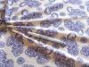 1m bi-elastischer Jersey "Flowers of Paisley" -1,55m
