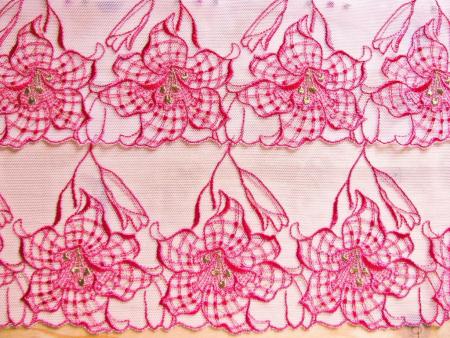 2m gegengleiche Dessous-Spitze "Pink Lady" bestickt - 20cm  / Stickbreite 11,5cm