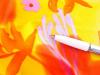 1m bi-elastische Microfaser "Sunny Summer" - 1,50m