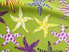 1m bi-elastische Microfaser/Lycra "Colorful Starfish II" - 1,50m