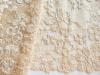 1m elastische Spitze in sahara-gold/goldiges beige Fb1163 - 15,5cm