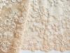 1m elastische Spitze in sahara-gold/goldiges beige Fb1163 - 15,5cm