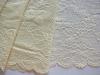 1m elastische XL-Spitze in jasmin Fb0781 - 22,5cm