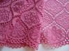 1m elastische XL-Spitze in pinkigem oleander Fb1417 - 22,5cm