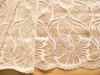 1m elastische XL-Spitze in vanille Fb1161 -22,5cm