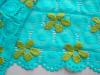 1m elastische Spitze "Aqua & Apple" - 15,5cm