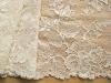 1m elastische Spitze in ecru/ein Hauch von creme Fb1451 -20cm