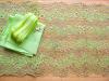 1 Pkt. Materialpaket "Fresh Grass" Spitzenslip