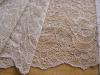 1m elastische XL-Spitze in perlen-beige Fb0327 - 22,5cm